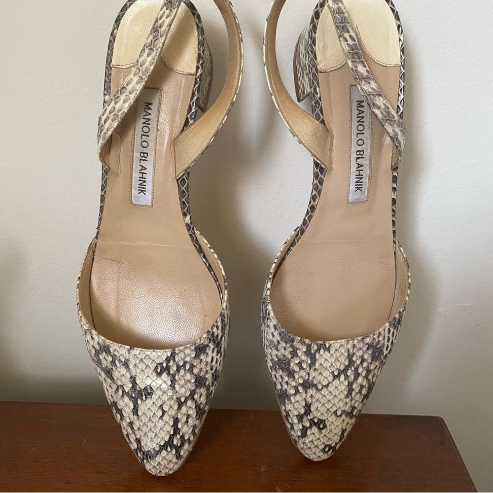 Manolo Blahnik Snake Print Leather Slingback Pointed Toe size 39 US 8